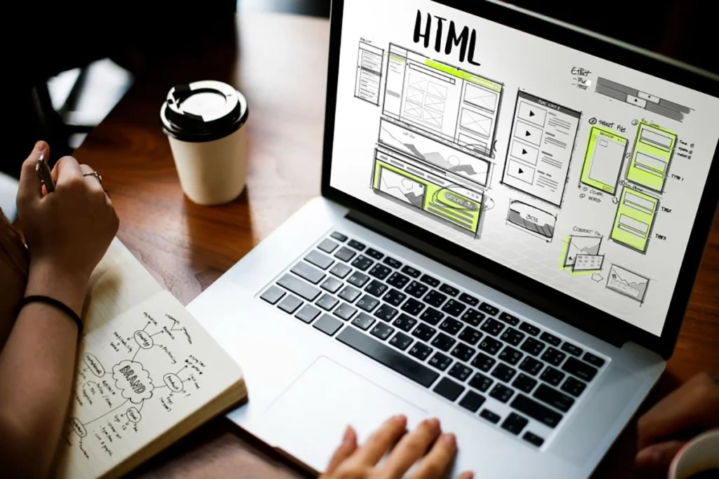 Kenali Jenis dan Peranan Developer