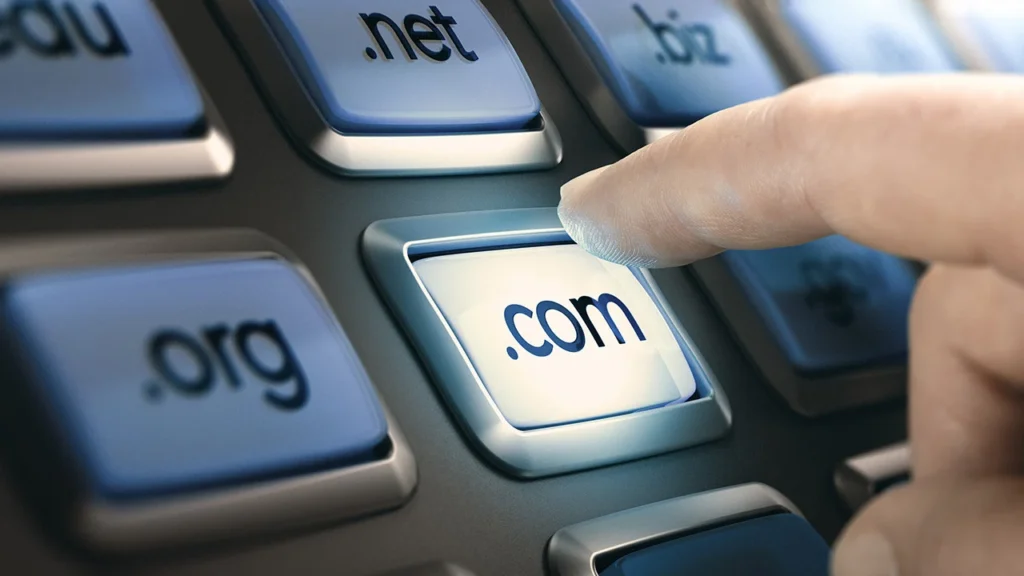Kenapa Ada Domain dan Fungsinya
