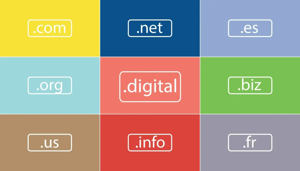 Top Level Domain