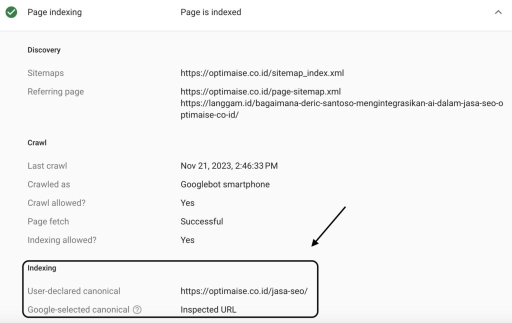 Url Canonical yang dipilih Google