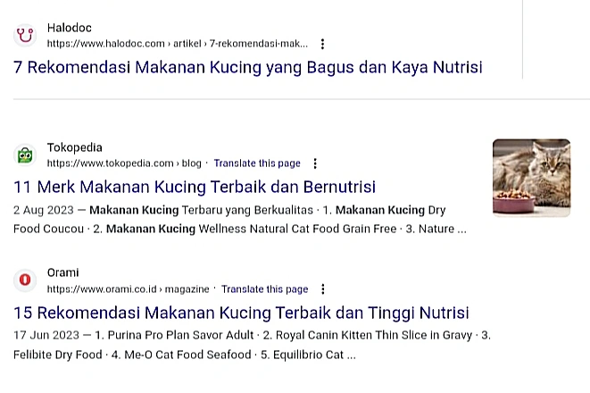 Contoh Title Tag