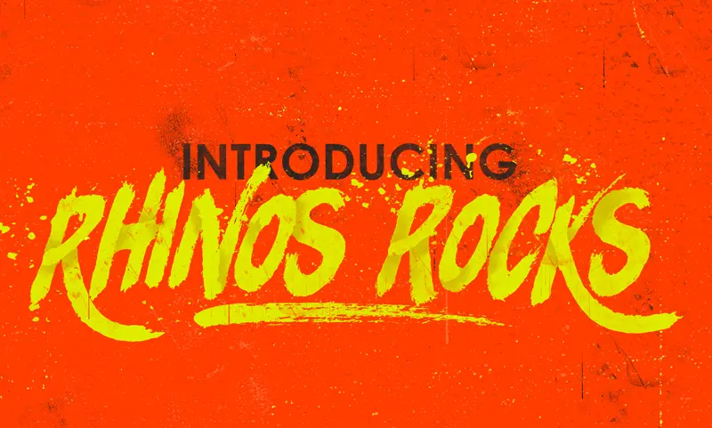 Rhinos Rocks