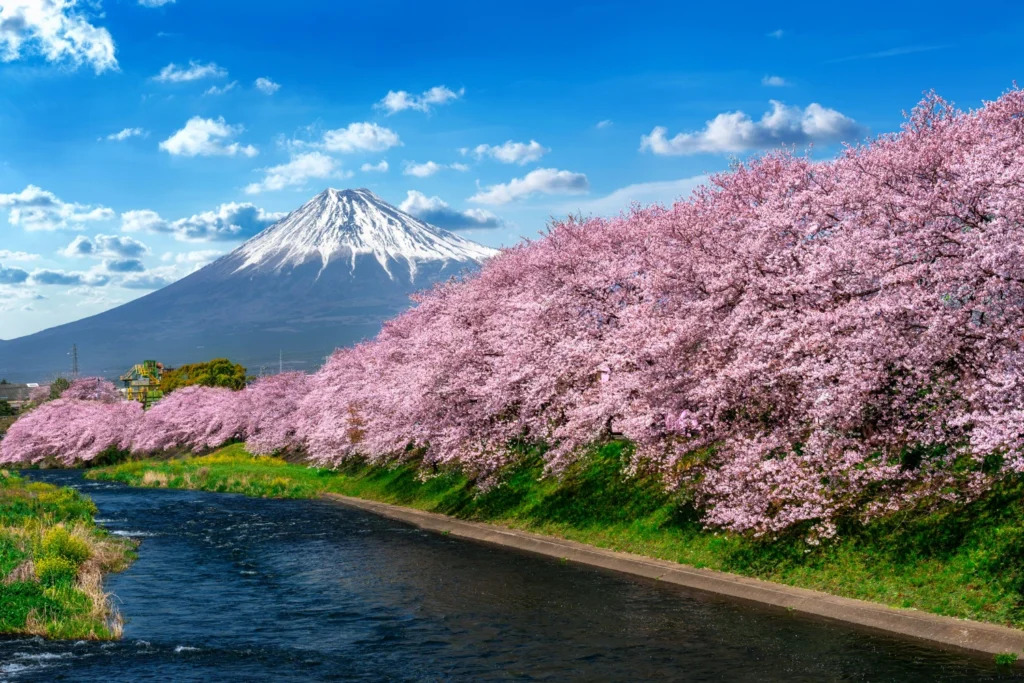 Musim dan Iklim di Jepang