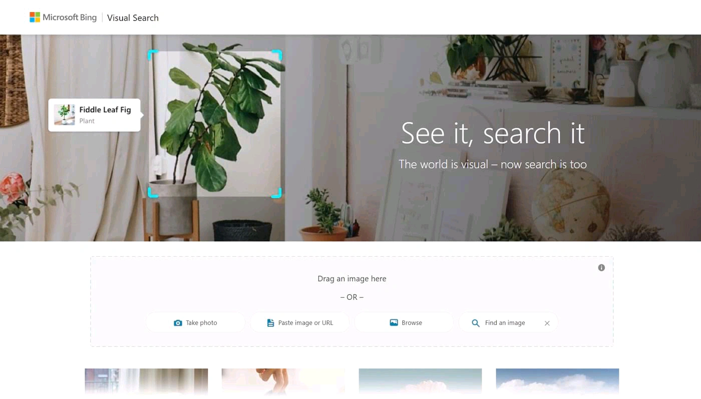 Bing Visual Search