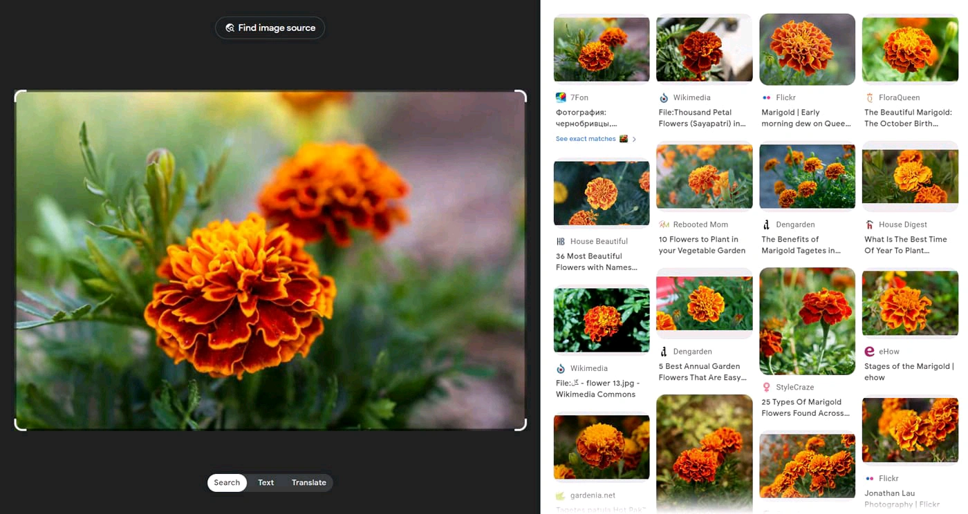 Perbedaan Antara Visual Search dan Image Search