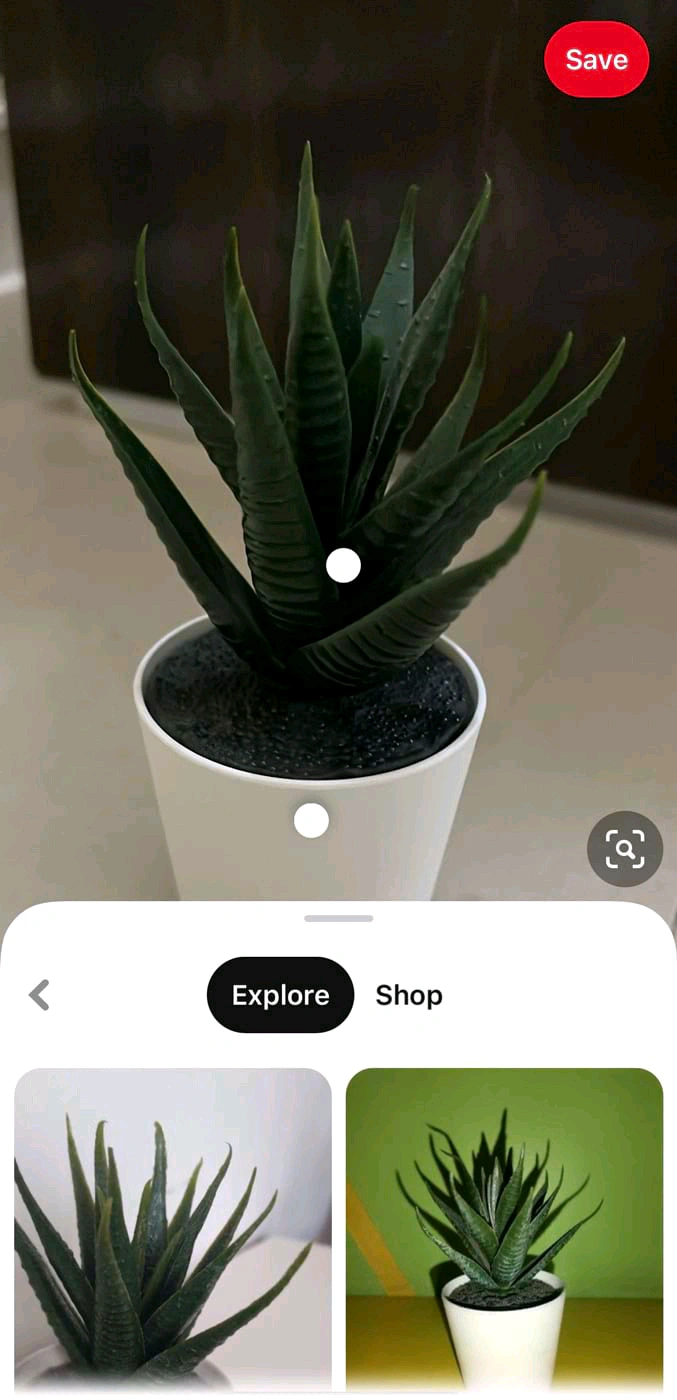 Pinterest Lens