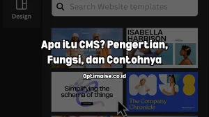 cms content management system