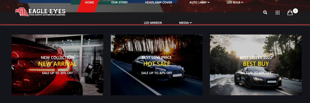 shopify example website