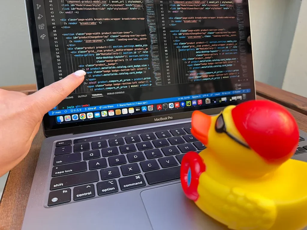 Seorang programmer menjelaskan coding yang error pada bebek karetnya itulah rubber duck debugging terdengar konyol tapi efektif