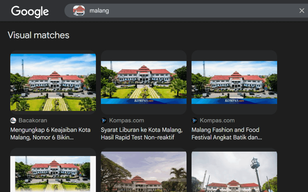 reverse google images