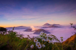 9 Kota Wisata di Jawa Timur yang Cocok untuk Healing dan Petualangan Baru