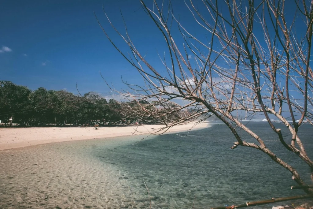 9 Rekomendasi Destinasi Wisata di Jawa Timur yang Cocok untuk Libur Panjang