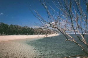 9 Rekomendasi Destinasi Wisata di Jawa Timur yang Cocok untuk Libur Panjang