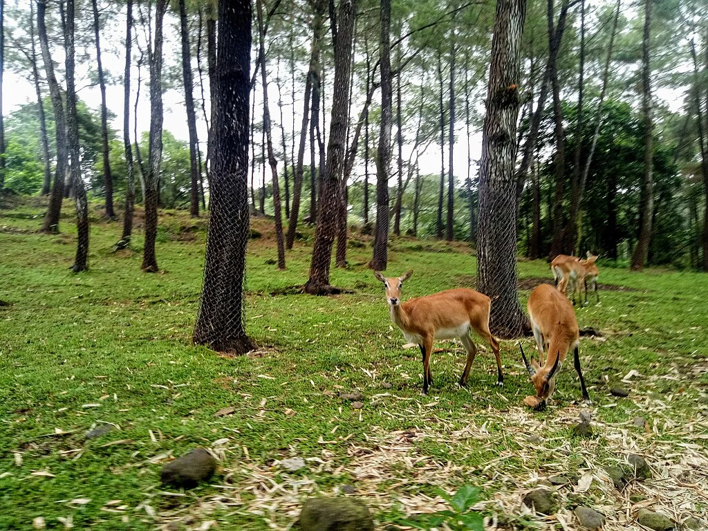 Jatim Park 1