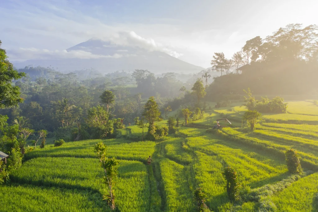 Jelajahi 7 Desa Wisata di Indonesia yang Penuh Tradisi dan Kearifan Lokal