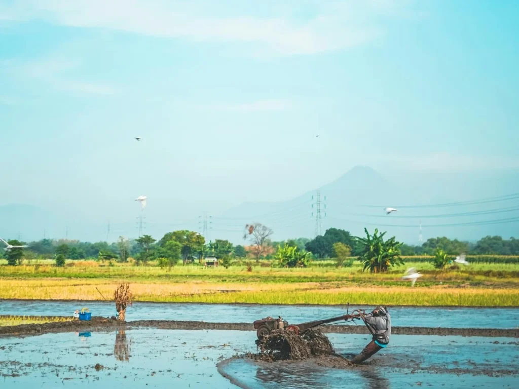 Pasuruan