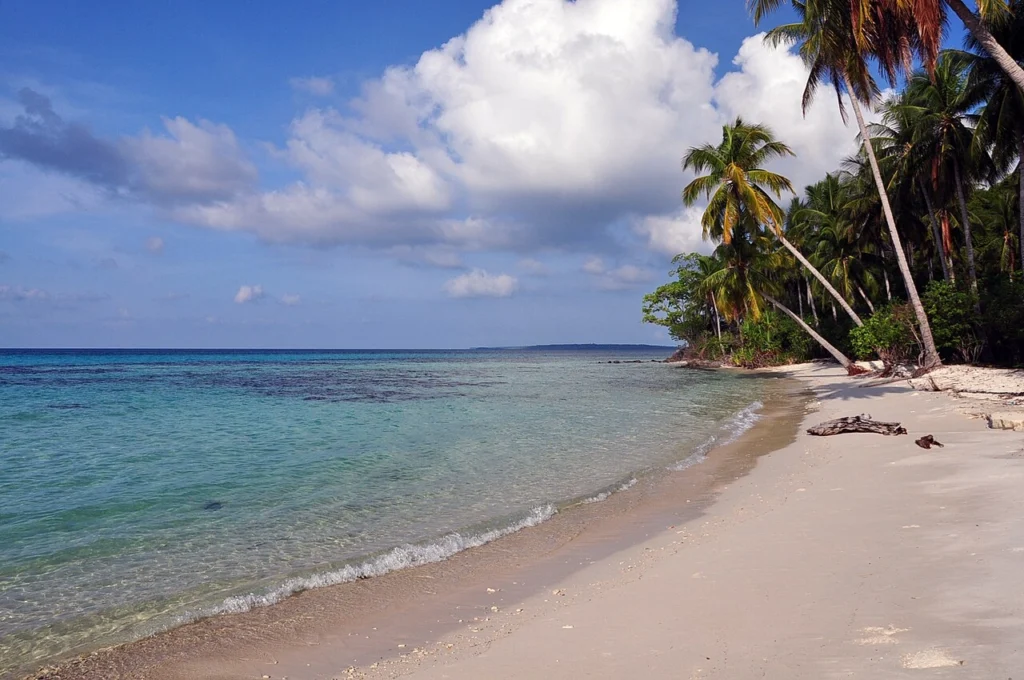 Taman Nasional Karimunjawa