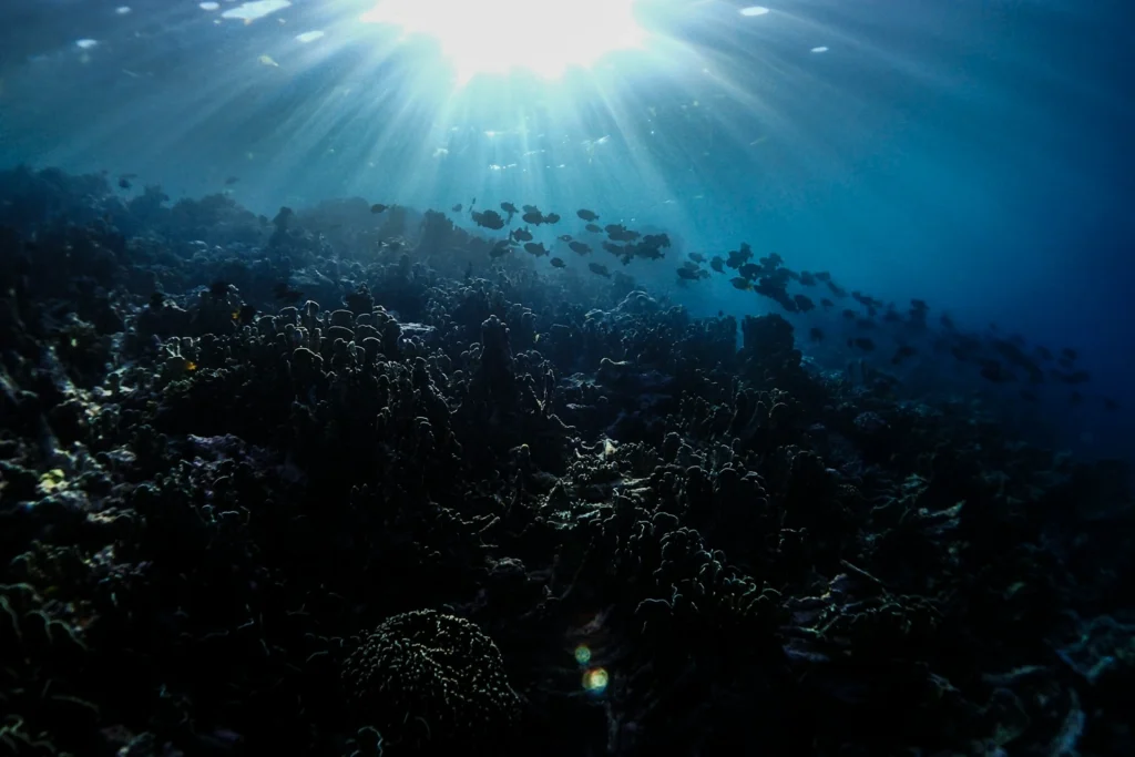 Taman Nasional Wakatobi