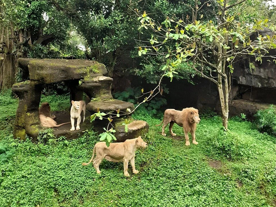 Taman Safari Prigen