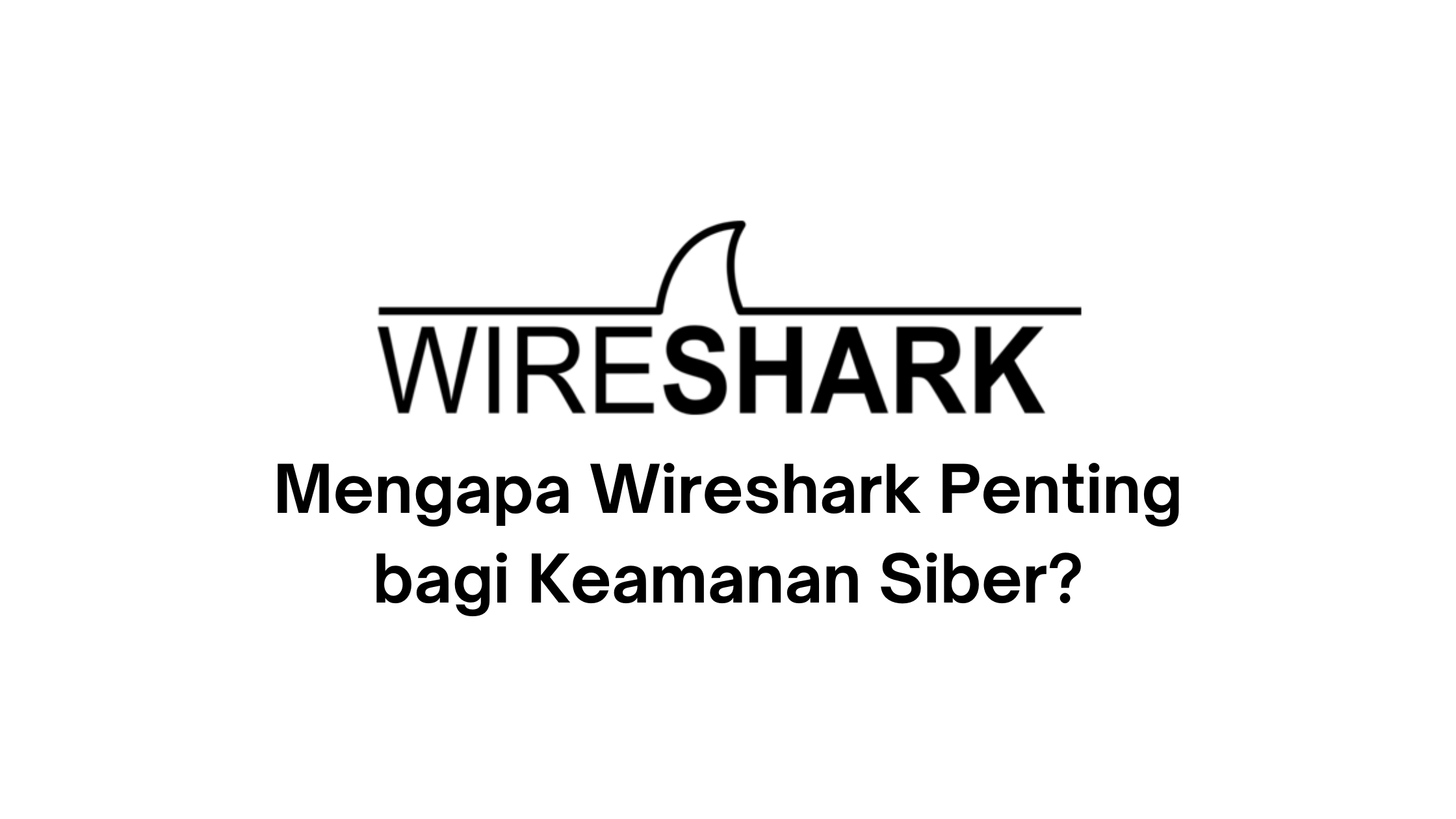wireshark bermanfaat untuk apa