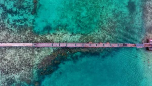 10 Taman Wisata Alam Tawarkan Keindahan Alam dan Spot Instagramable