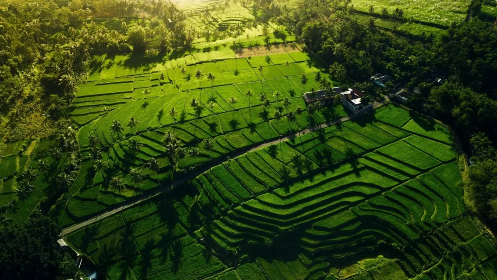 10 Tempat Wisata di Malang yang Murah dan Jadi Favorit Banyak Orang