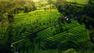 10 Tempat Wisata di Malang yang Murah dan Jadi Favorit Banyak Orang