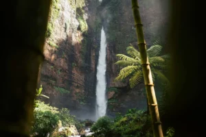 10 Wisata Alam Curug di Jawa Timur dengan Panorama Asri dan Tenang