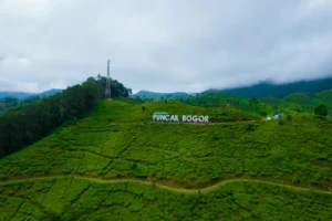 10 Wisata Alam di Bogor yang Cocok Buat Refreshing di Akhir Pekan