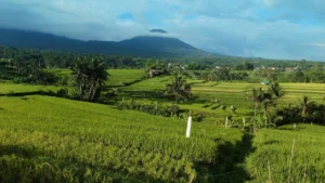 Eksplorasi 10 Wisata Alam Air di Jawa Timur yang Menyegarkan