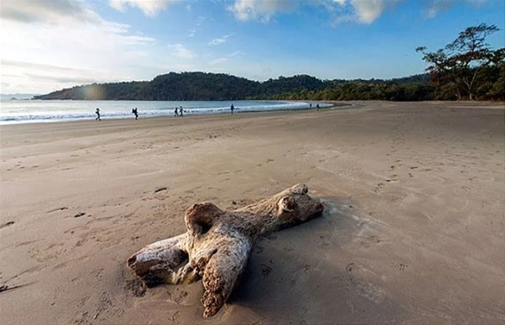 Fasilitas di Obyek Wisata Alam Pantai Nanggelan