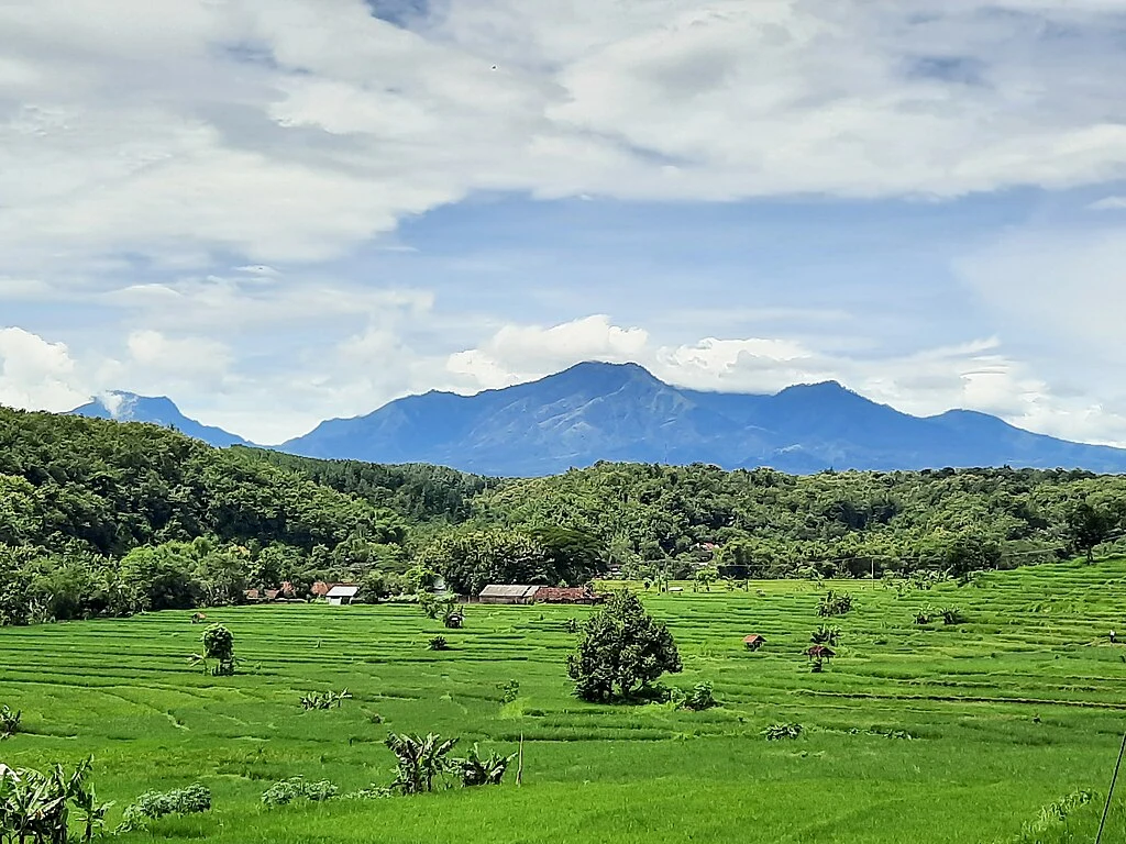 Gunung Wilis