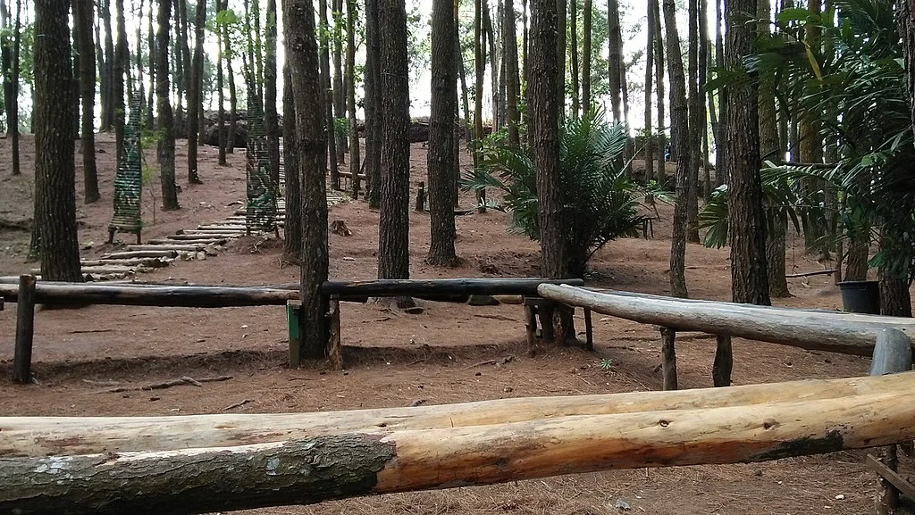 Hutan Pinus Mangunan