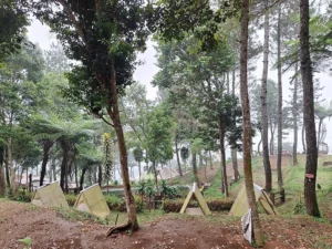 Obyek Daya Tarik Wisata Alam Tenjo Laut: Hal Menarik, Alamat, dan Tiket Masuk