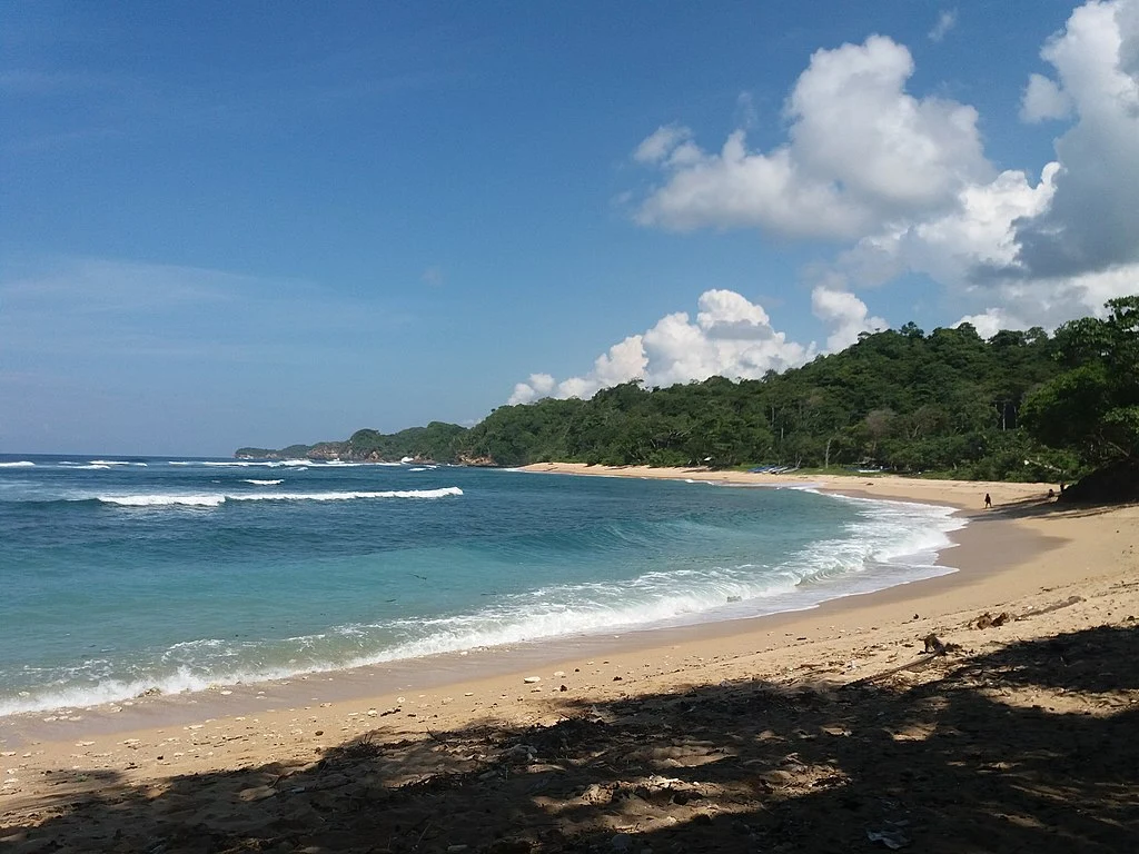 Pantai Ngliyep