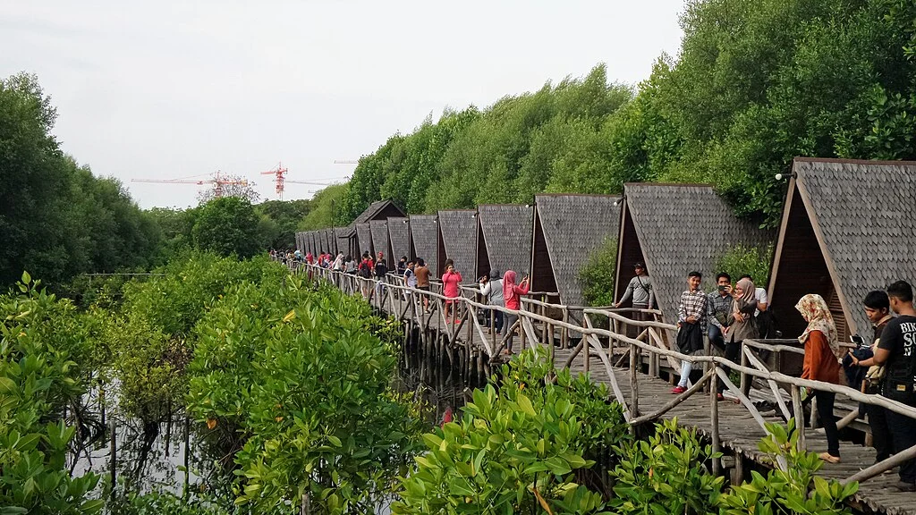Taman Wisata Alam Angke Kapuk di Jakarta