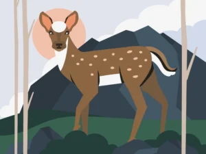 Dongeng Kancil Berasal dari Mana? Ketahui Penjelasan dan 2 Contohnya