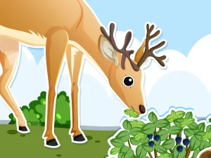 Kumpulan Dongeng Sang Kancil yang Mengajarkan Kecerdikan