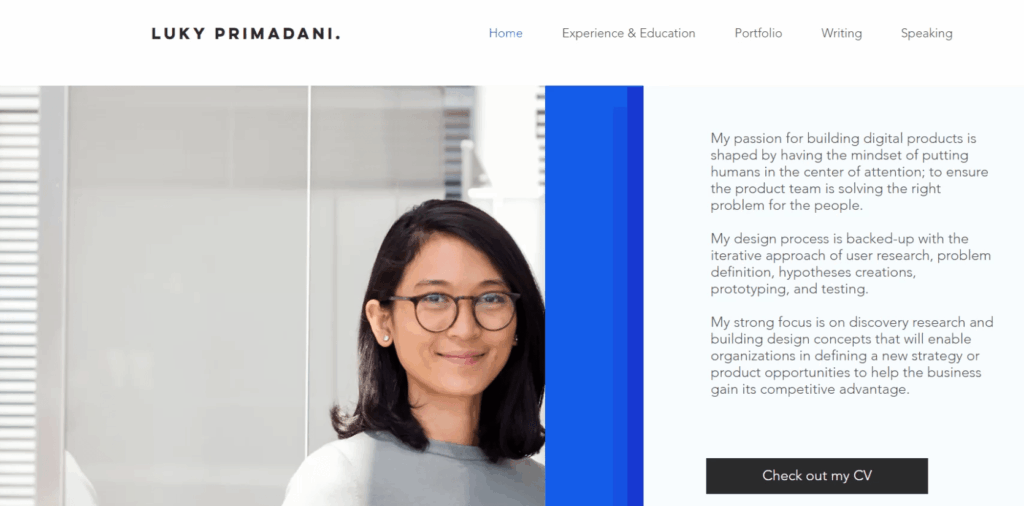 Contoh Portofolio Online