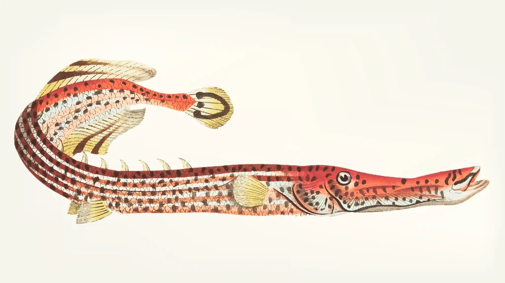 Beda Erek Erek Belut Betina VS Jantan dan Angka Terbaru 2025 - Hubungan Antara Jenis Belut, Tafsir Mimpi, dan Angka