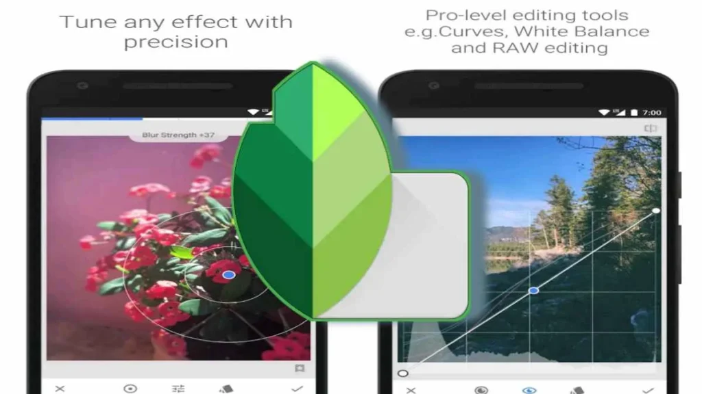 Aplikasi Edit Foto Aesthetic Snapseed