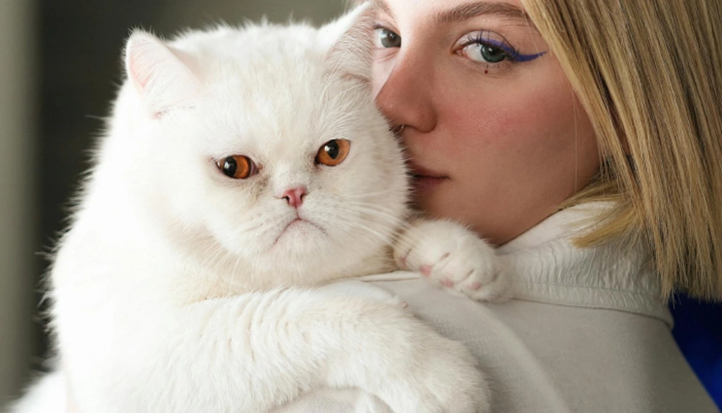 10 Kode Tafsir Mimpi Erek Erek Kucing 2025 - Mimpi Kucing Putih