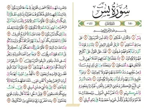 Surat Yasin Lengkap 83 Ayat Bacaan, Arti, dan Keutamaannya