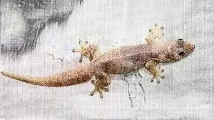 kode alam cicak jatuh 2