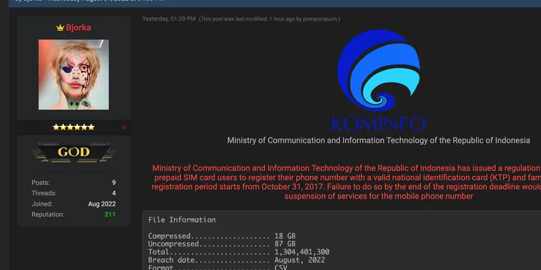 Kominfo/Komdigi data breach oleh Bjorka