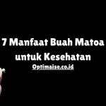 manfaat buah matoa untuk gula darah