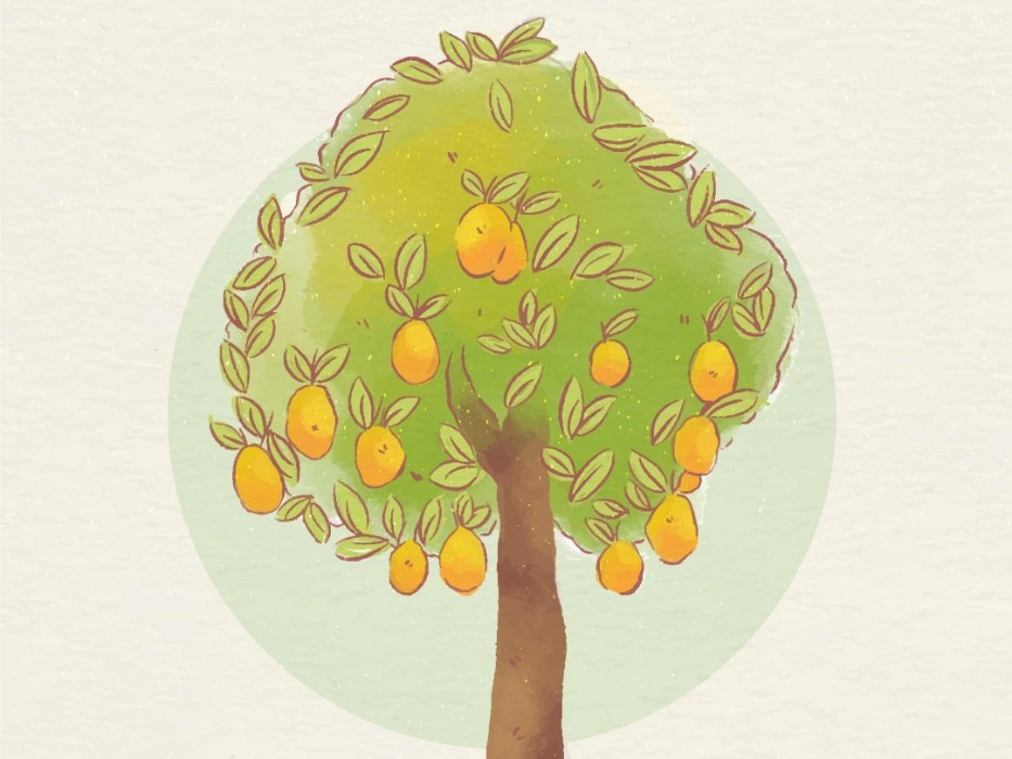 Contoh Dongeng Anak Islami tentang Kejujuran