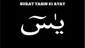 Surat Yasin Full Arab