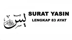 Surat Yasin Latin Mudah Dibaca