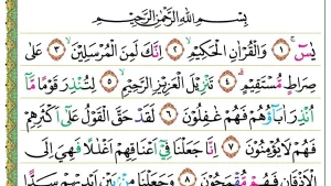 Surat Yasin dan Tahlil